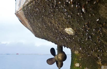 Biofouling and Water Hydrogen: Risks for Piezoresistive Sensors