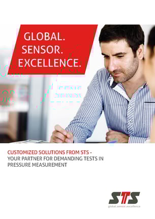 STS_Customized_Business_EN_web