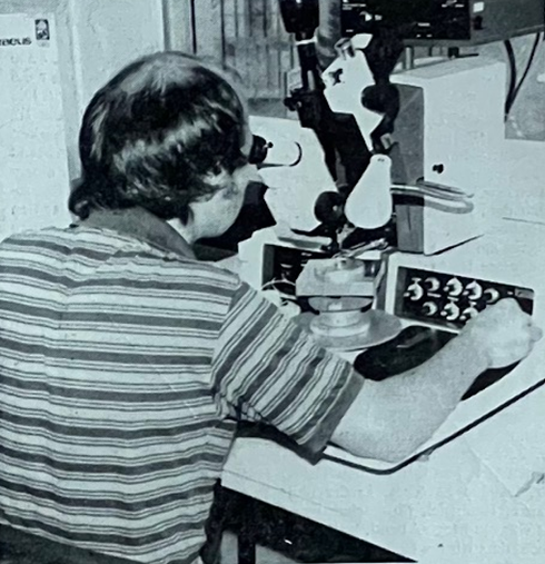 1991